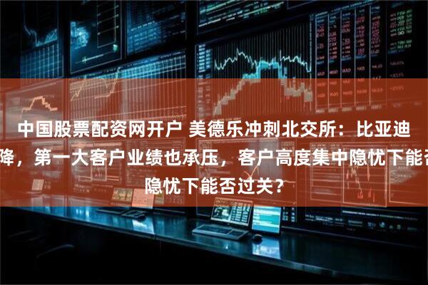 中国股票配资网开户 美德乐冲刺北交所:比亚迪订单骤降,第一大客户业绩也承压,客户高度集中隐忧下能否过关?