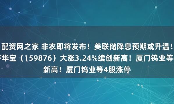 配资网之家 非农即将发布！美联储降息预期或升温！有色ETF华宝（159876）大涨3.24%续创新高！厦门钨业等4股涨停